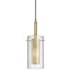 1LT Incandescent Pendant,  AGB, CLR Glass