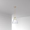 1LT Incandescent Pendant, Aged Brass,Clear Glass