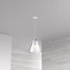 1LT Incandescent Pendant, PC, Clear Glass