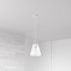 1LT Incandescent Pendant, MW, Clear Glass