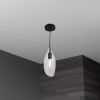 1LT Incandescent Pendant, Blk Finish,Clear Glass