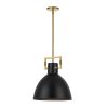 1LT Incandescent Pendant, AGB, MB Metal Shade