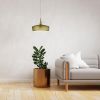 1LT Incandescent Pendant, Painted Aged Brass