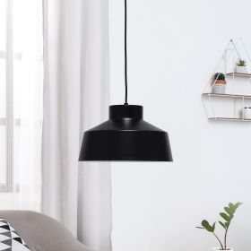Lalia Home Industrial Barn Pendant, Black