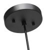 Lalia Home Industrial Barn Pendant, Black