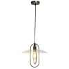 1 Light Modern Metal Pendant Light, Antique Brass