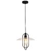1 Light Modern Metal Pendant Light, Black