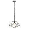 Large 16" Pendant Industrial Metal Wire Cage Hanging Ceiling