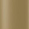 1LT Incandescent Wall Sconce, AGB