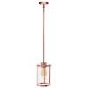 1-Light 9.25" Adjustable Hanging Cylindrical Clear Glass Pendant Fixture