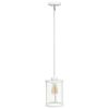 1-Light 9.25" Adjustable Hanging Cylindrical Clear Glass Pendant Fixture