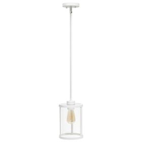 1-Light 9.25" Adjustable Hanging Cylindrical Clear Glass Pendant Fixture (Option: White)