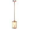 9.25" Farmhouse 1-Light Metal and Clear Cylindrical Glass Kitchen