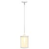 9.25" 1-Light Metal and Clear Cylindrical Glass Kitchen Foyer Hallway Bedroom