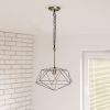 Large 16" Pendant Industrial Metal Wire Cage Hanging Ceiling 1 Light Fixture
