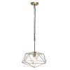Large 16" Pendant Industrial Metal Wire Cage Hanging Ceiling 1 Light Fixture