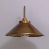 Nerissa Brass Swan Neck Wall Sconce IP65