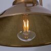 Nerissa Brass Swan Neck Wall Sconce IP65
