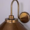 Nerissa Brass Swan Neck Wall Sconce IP65
