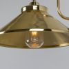 Nerissa Brass Swan Neck Wall Sconce IP65