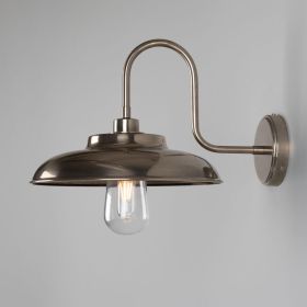 Darya Swan Neck Bathroom Wall Sconce IP65 (Option: AntiqueSilver, Material: ClearGlass)