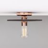 Bog Oak Organic Ceramic Disc Ceiling Light, Black Clay