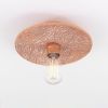 Bog Oak Organic Ceramic Disc Ceiling Light, Red Iron