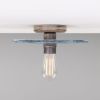 Bog Oak Organic Ceramic Disc Ceiling Light, Blue Earth
