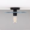 Bog Oak Organic Ceramic Disc Ceiling Light, Blue Earth