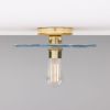 Bog Oak Organic Ceramic Disc Ceiling Light, Blue Earth