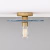 Bog Oak Organic Ceramic Disc Ceiling Light, Blue Earth