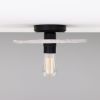 Bog Oak Marbled Ceramic Disc Ceiling Light