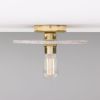 Bog Oak Marbled Ceramic Disc Ceiling Light