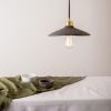 Pyrus Organic Ceramic Pendant Light 11", Black Clay