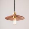 Pyrus Organic Ceramic Pendant Light 11", Red Iron