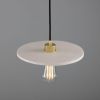 Bog Oak Organic Ceramic Disc Pendant Light, Matte White Striped