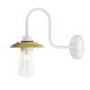 Ren Brass Swan Neck Wall Sconce IP65